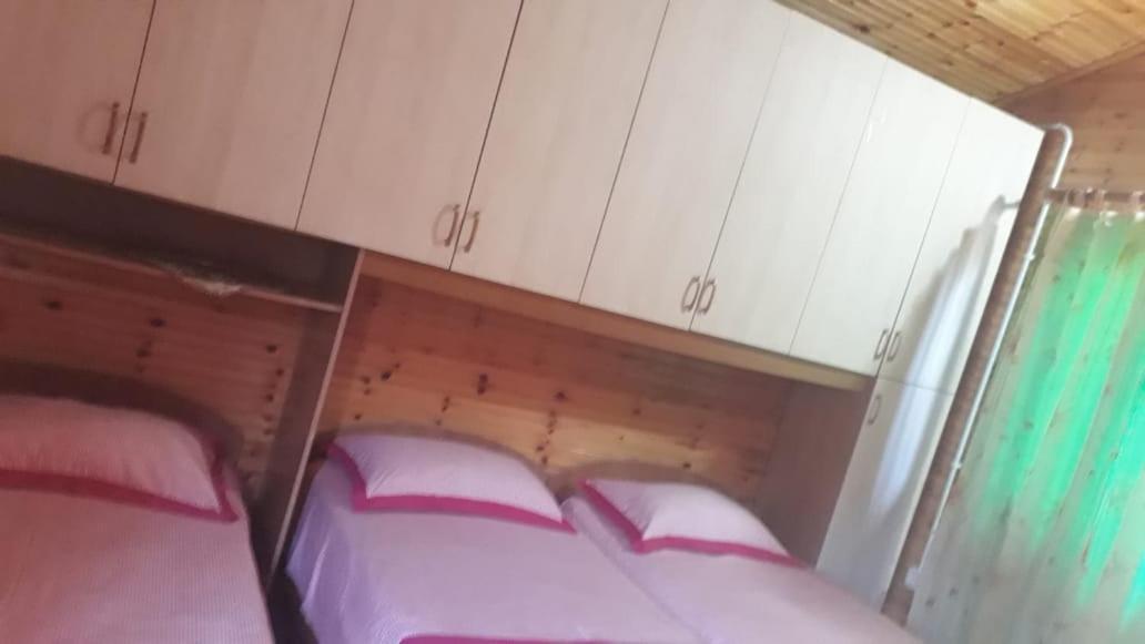Apartament Kolonia E Artistave Velipojë Zewnętrze zdjęcie