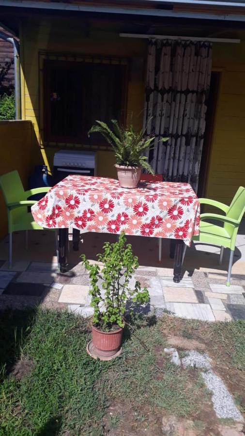 Apartament Kolonia E Artistave Velipojë Zewnętrze zdjęcie