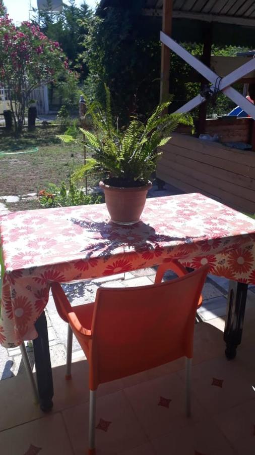 Apartament Kolonia E Artistave Velipojë Zewnętrze zdjęcie