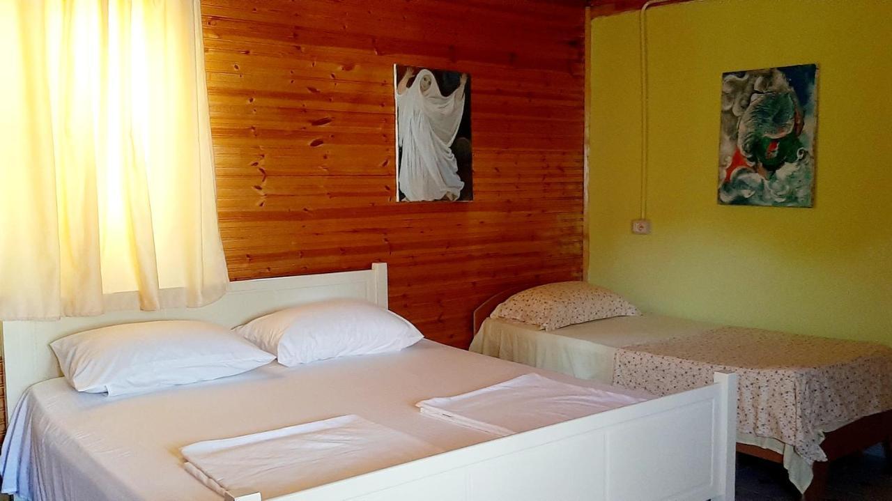 Apartament Kolonia E Artistave Velipojë Zewnętrze zdjęcie