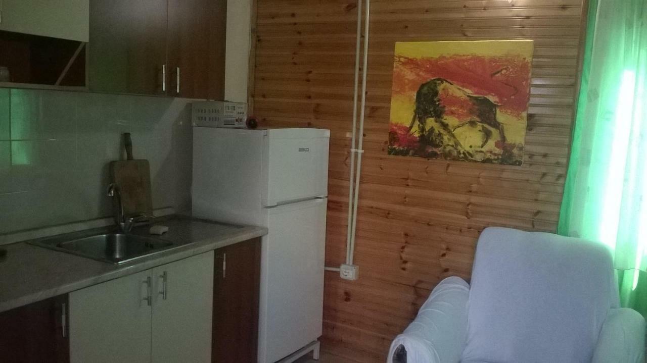 Apartament Kolonia E Artistave Velipojë Zewnętrze zdjęcie