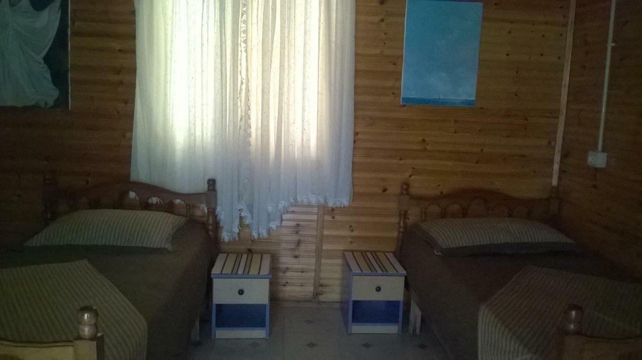 Apartament Kolonia E Artistave Velipojë Zewnętrze zdjęcie