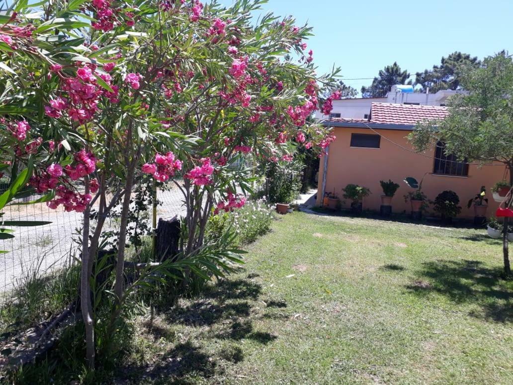 Apartament Kolonia E Artistave Velipojë Zewnętrze zdjęcie