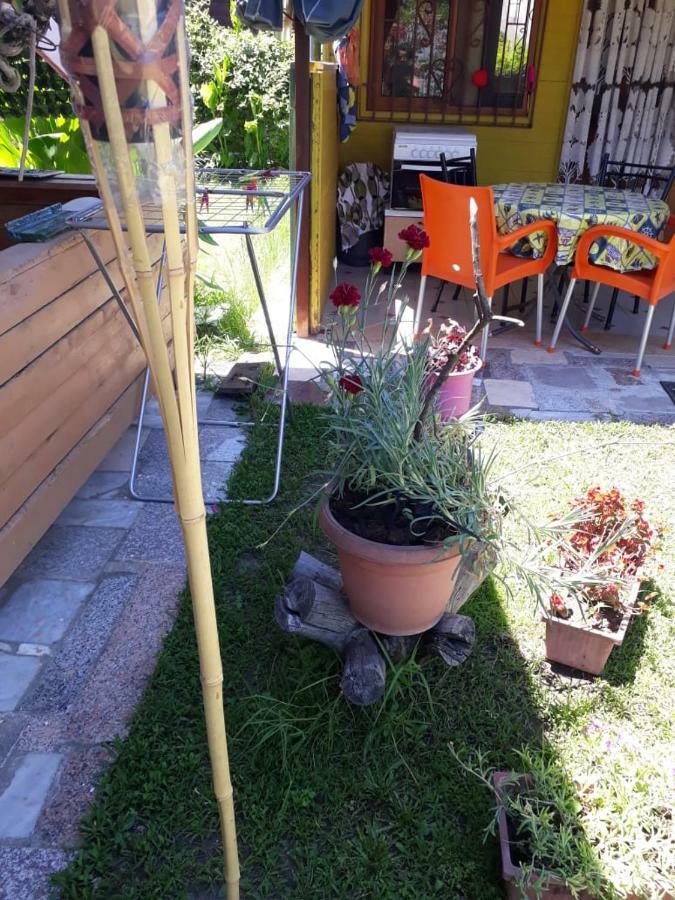 Apartament Kolonia E Artistave Velipojë Zewnętrze zdjęcie